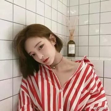 盐之路封面