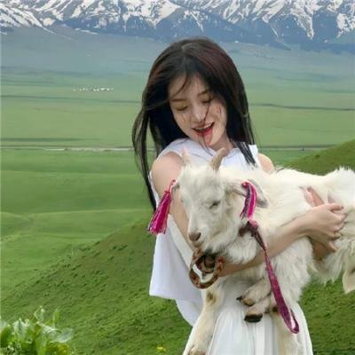 最后的罗宾汉封面